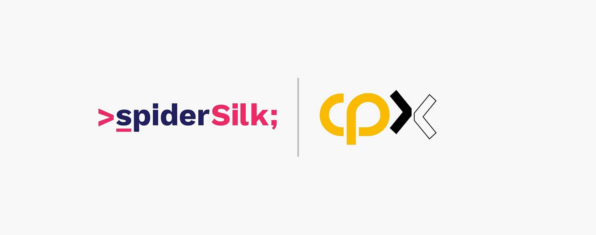 شركة CPX تستحوذ على شركة حلول الذكاء الاصطناعي السيبراني SpiderSilk 