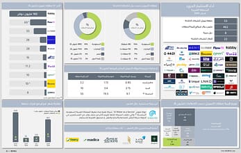 أداء الاستثمار الجريء في المنطقة العربية لشهر فبراير 2025