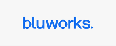 شركة تكنولوجيا الموارد البشرية bluworks تجمع جولة تمويل